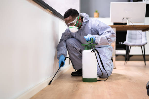 Best Fumigation Services  in Ignacio, CO